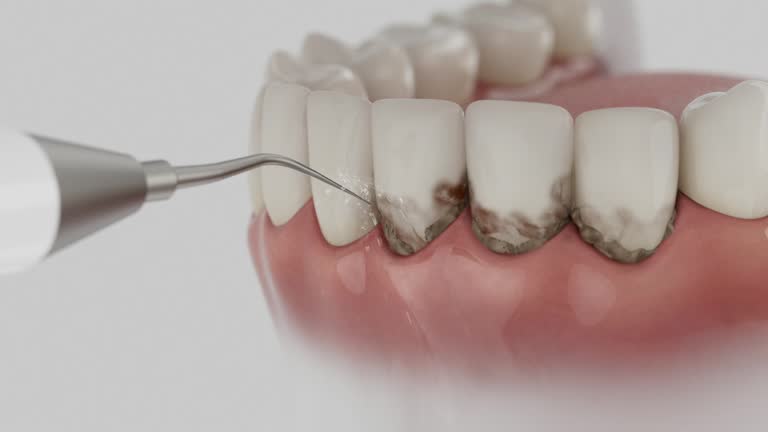 Reliable Dental contractor in Sheffield Lake, OH by Dentist Open Now